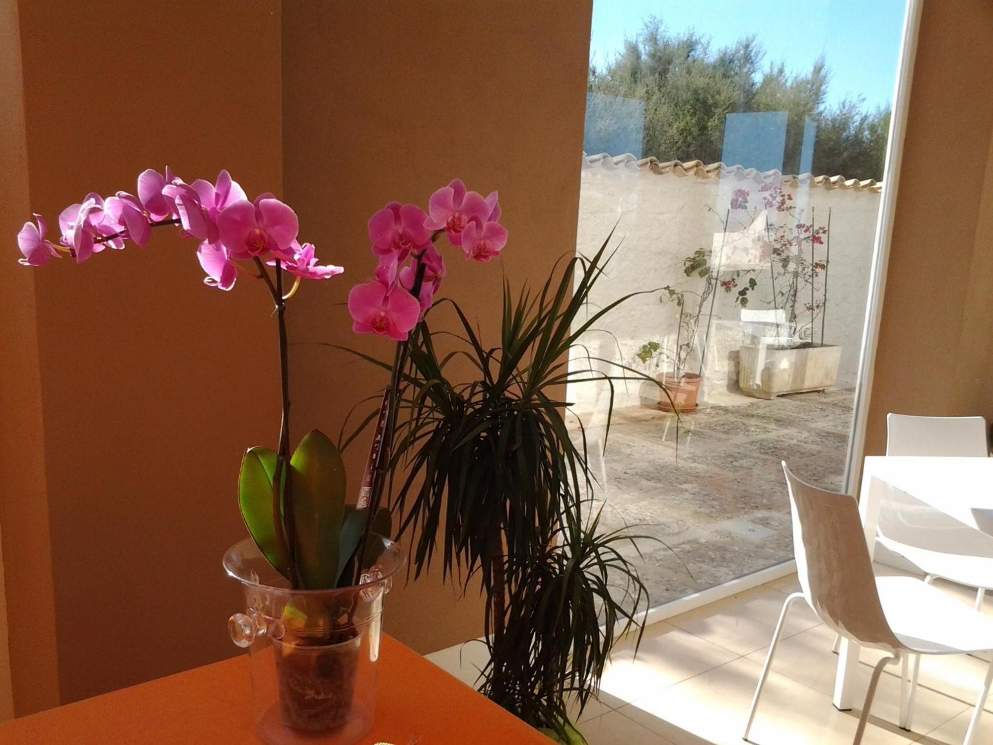 Suitebeach B&B And Resort Marsala Buitenkant foto